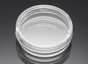 353001     易握型细胞培养皿35×10mm,标准TC  BD FALCON